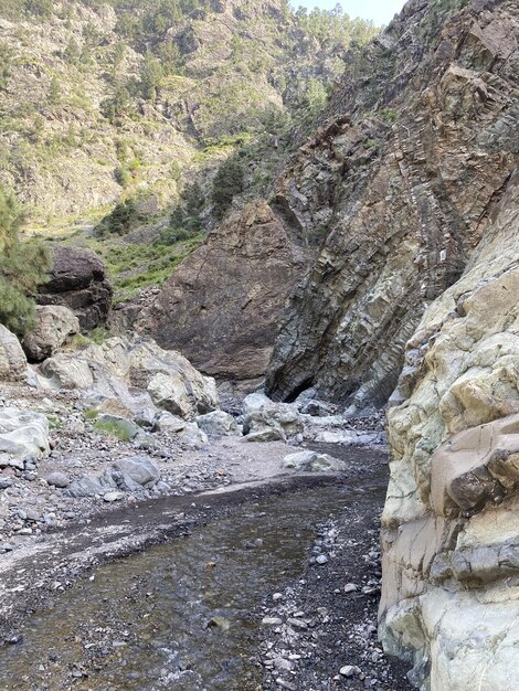 Volcanic sands coves surrounded by rocks and stunning natural landscapes This is Palma one of the Canary Islands