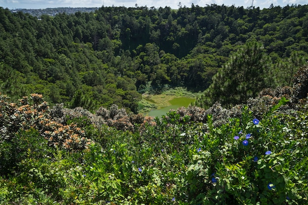 Volcano crater of Trou aux Cerfs