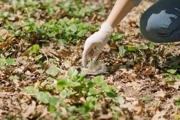 Volunteer woman is cleansed in the forest woman collects plastic