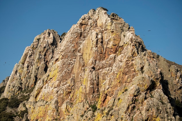 Vultures flying over Salto del Gitano crags Monfrague National Park