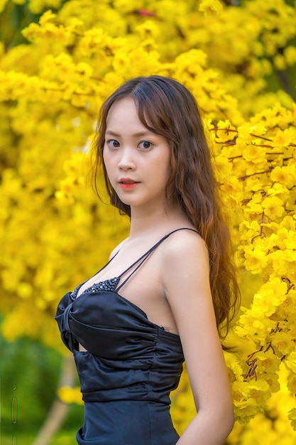 Vung Tau VIETNAM JAN 7 2023 Portrait of a beautiful Asian woman on black dress standing near Ochna Integerrima flower Tet holiday Lunar New Year