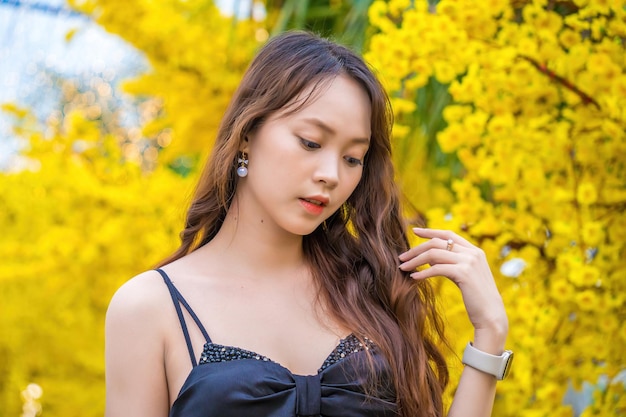 Vung Tau VIETNAM JAN 7 2023 Portrait of a beautiful Asian woman on black dress standing near Ochna Integerrima flower Tet holiday Lunar New Year