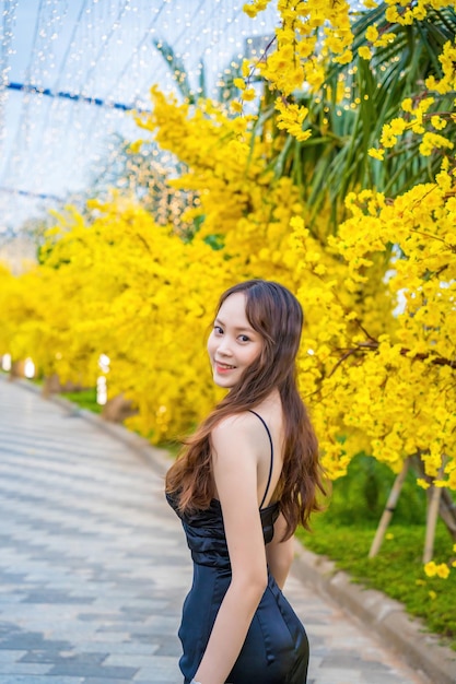 Vung Tau VIETNAM JAN 7 2023 Portrait of a beautiful Asian woman on black dress standing near Ochna Integerrima flower Tet holiday Lunar New Year