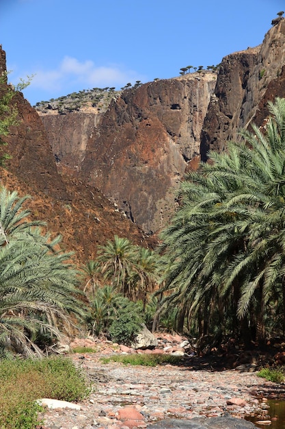 Wadi Dirhur Canyon Socotra island Indian ocean Yemen