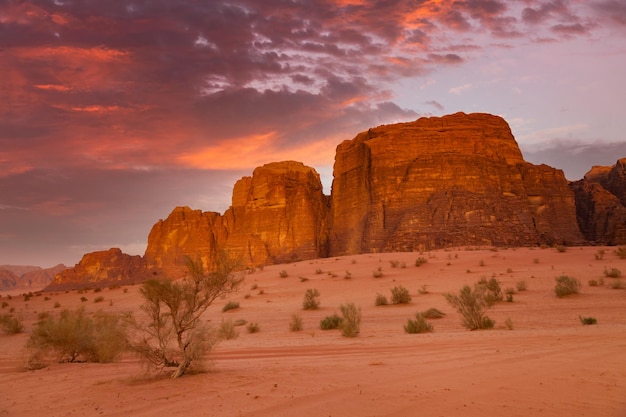 Wadi Rum Desert in Jordan at the beautiful dawn Desert landscape