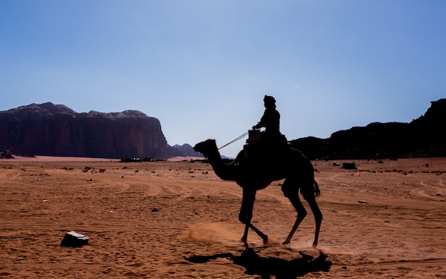 Wadi Rum Desert landscape in Jordan. Travel concept, Camel