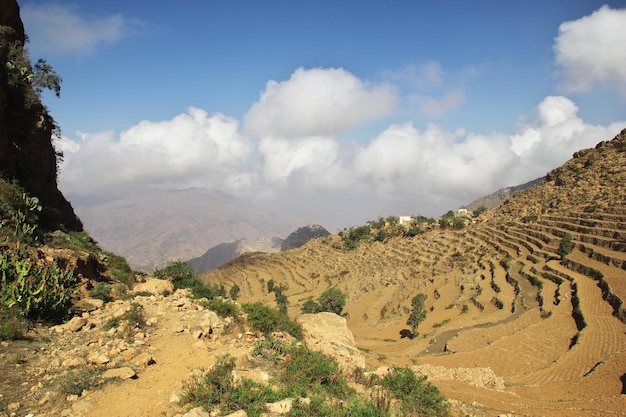 Wadi Sara in mountains Yemen