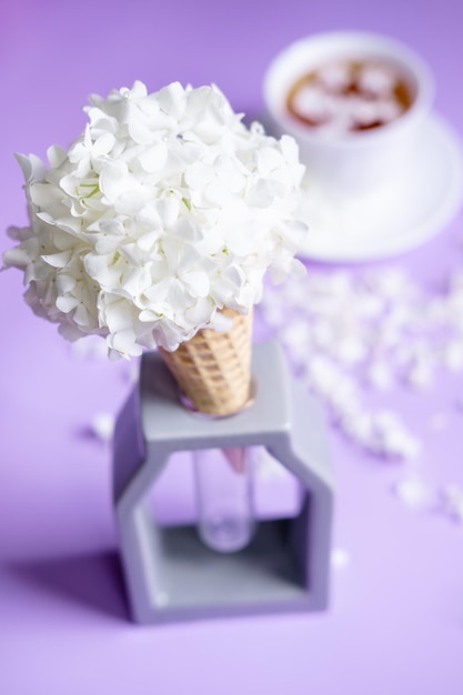 Waffle cone with hydrangea on purple background Delicate still life with flowers flower ice cream Veri Peri trendy color