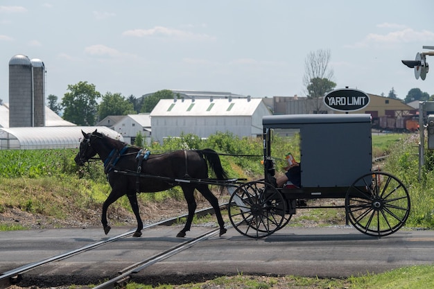 Photo wagon buggy in lancaster pennsylvania amish country