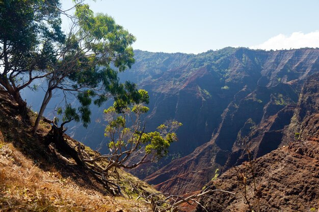 Waimea Canyon on Kauai