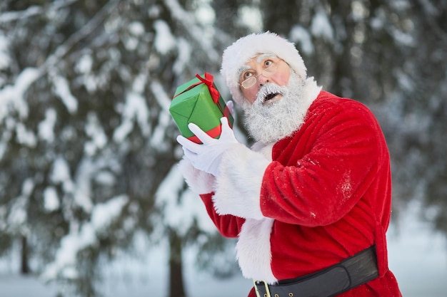 Waist up portrait of traditional santa claus holding present outdoors in winter forest and shaking i