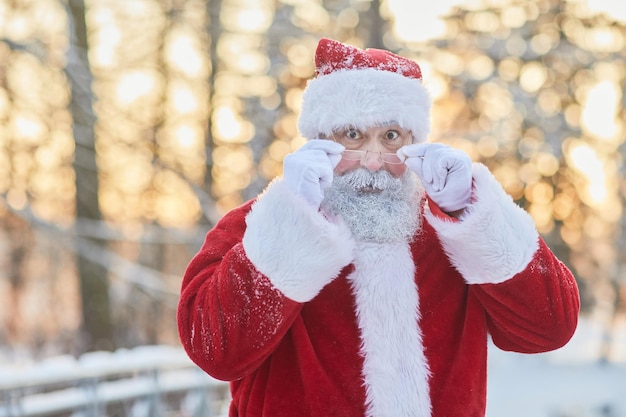 Waist up portrait of traditional santa claus looking at camera over eyeglasses and looking surprised