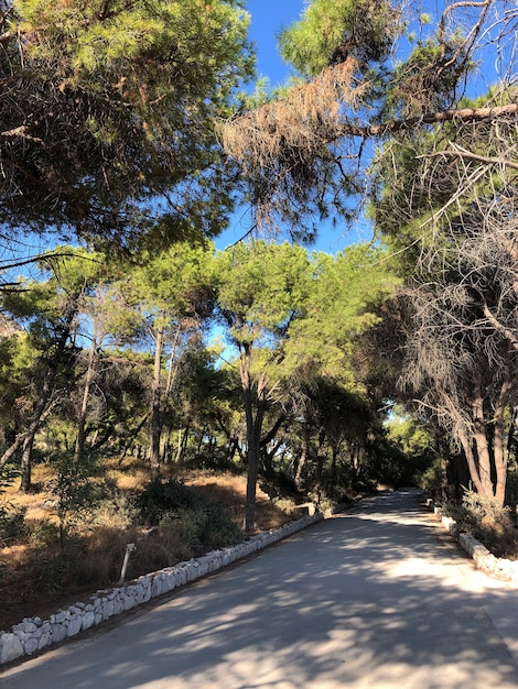 a walk along the seashore rhodes greece