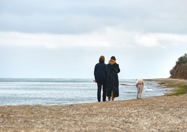 A walk in the beach with dog