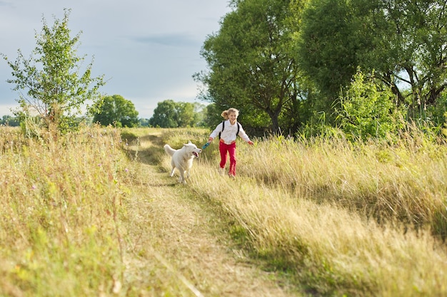 Walk girl with dog in nature, run child with pet in sunny meadow