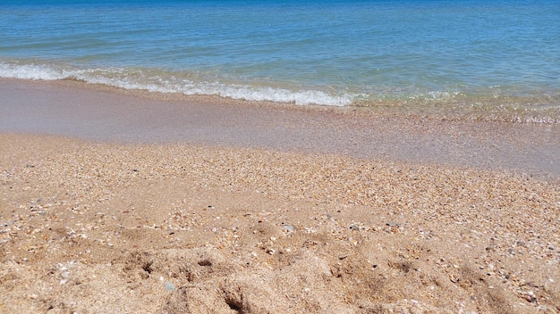 Walk on a sunny summer day along the sandy BLack Sea beach