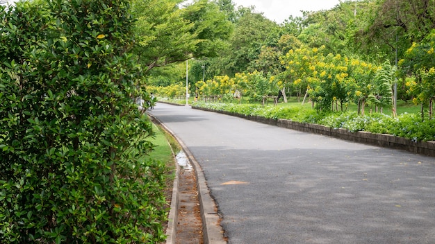 Walk way in garden of Suan luang rama IX public park Bangkok Thailand background2