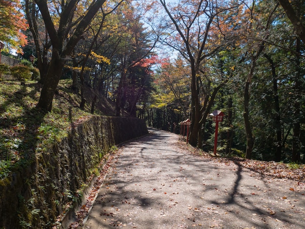 Walk way near Arakura Sengen Shrine