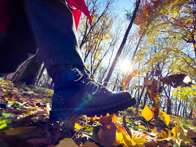 Walking in autumn park kicking dry leaves