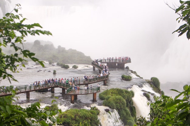 Walking free in amazing park in Brazil surrounding by trees and full of waterfalls in a cloudy day