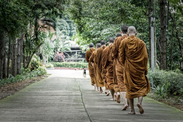 Walking monks to temple in the morning