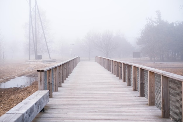 Walking path in the park during heavy fog Weather conditions and changes