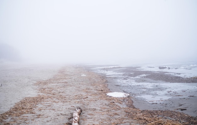 Walking path in the park during heavy fog Weather conditions and changes