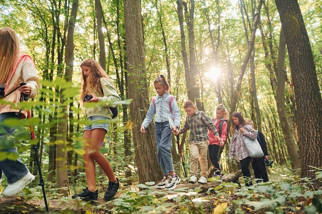 Walking together Kids in green forest at summer daytime together