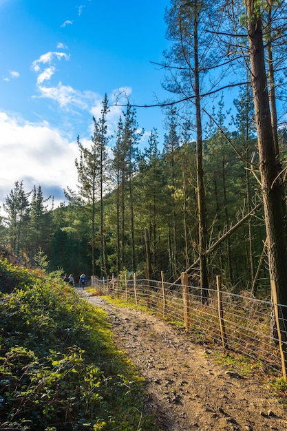 Walking trail on Mount Arno in the municipality of Mutriku in Gipuzkoa Basque Country Spain