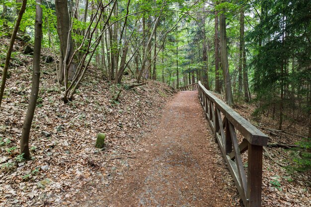 Photo walking trail in the mountains with wooden handrails