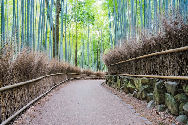 Photo walkway in arashiyama bamboo groves, kyoto, japan