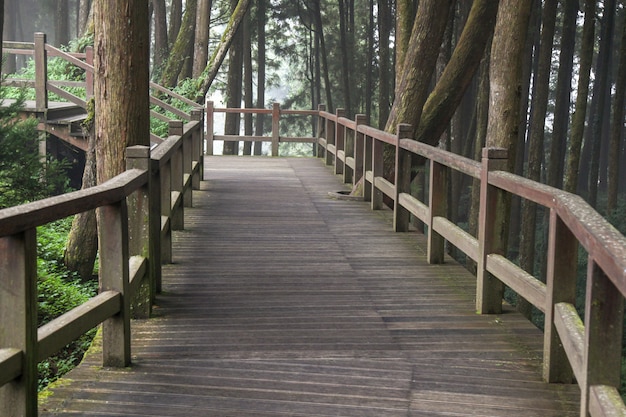 The walkway from wood in Alishan forest at Alishan national park, taiwan.