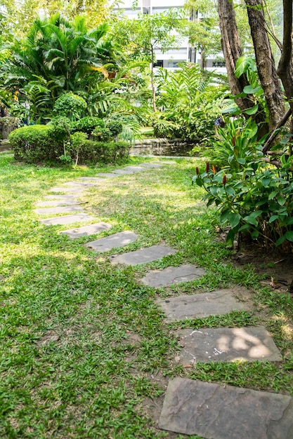 Walkway and path brick in garden