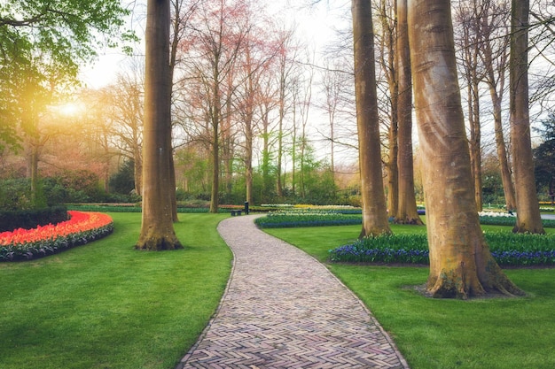 Walkway through the Keukenhof park in Netherlands