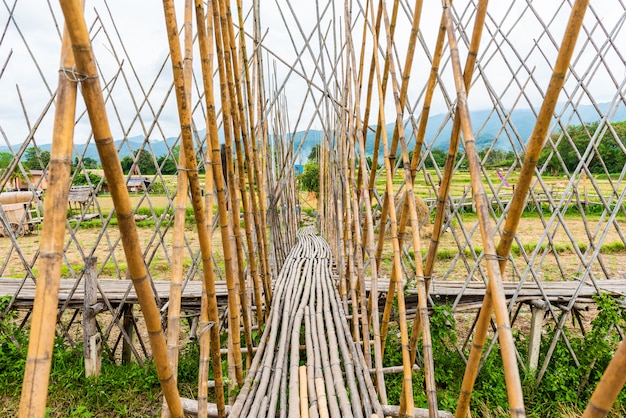 Walkway was built from bamboo