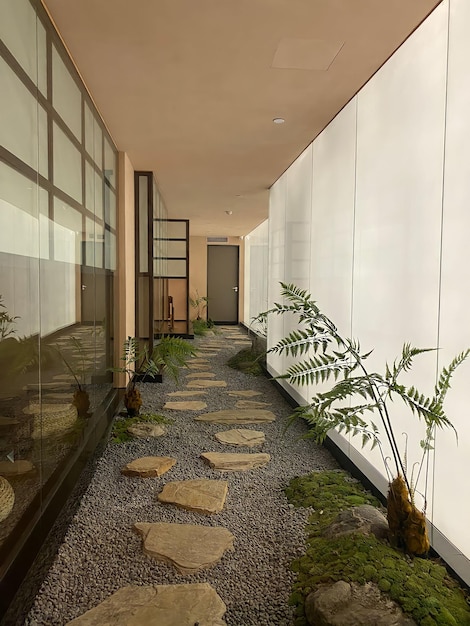 A walkway with a plant in it and a glass door behind it.