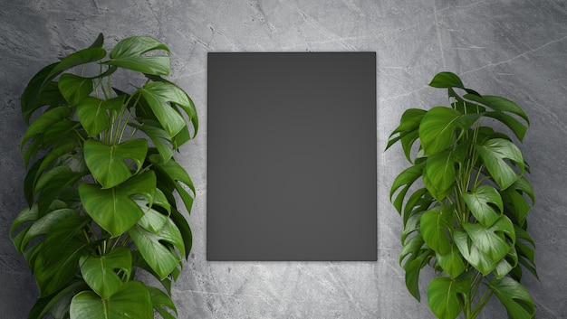 Wall background mockup 3d render with backboard and marble wall and plant