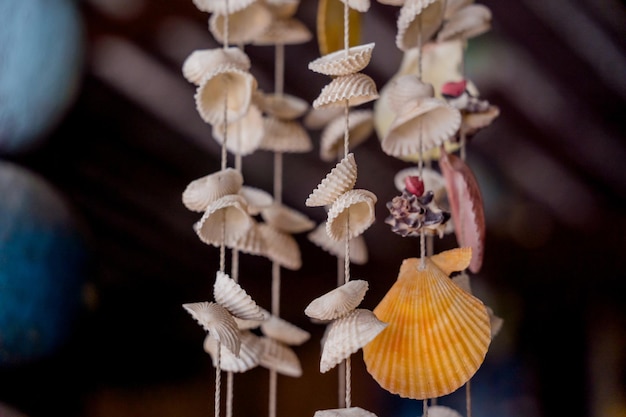 Wall decorated with scallop shells in a row