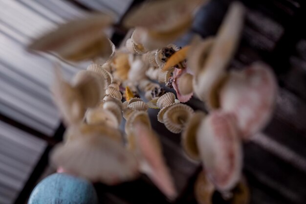 Wall decorated with scallop shells in a row