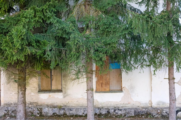 Wall of a dilapidated old house