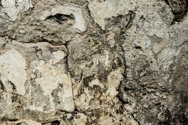 Wall fragment with scratches and cracks background