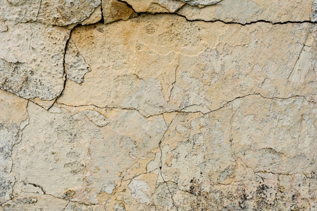 Wall fragment with scratches and cracks