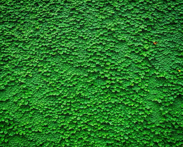 Photo a wall of green in the forest of green