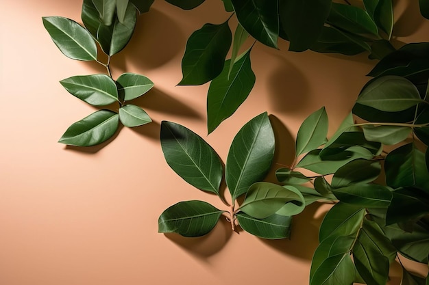 A wall of green leaves