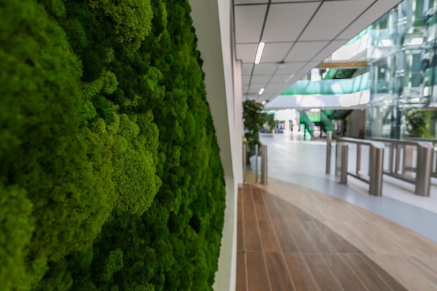 Wall of the modern glass building covered with green moss