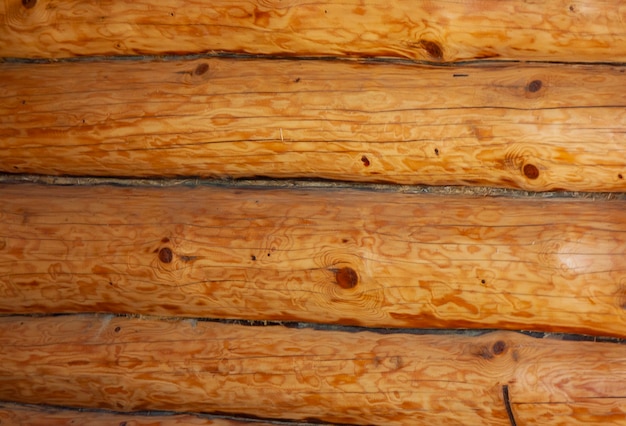 Wall of old log house from logs and tow between them Old logs Wooden texture background