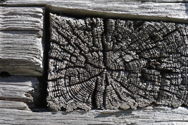 Wall of old logs