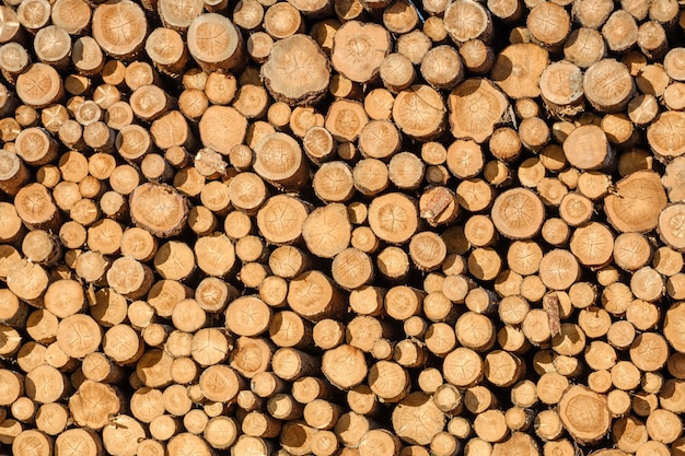 Wall of stacked wood logs as background