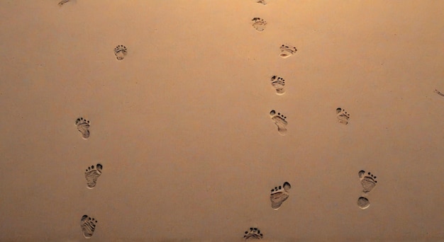 a wall with footprints in the sand and the word footprints on it