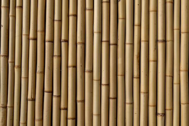 Wallcovering texture with new bamboos